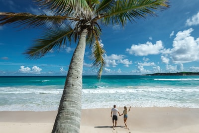 people walking on seashore